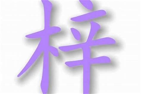 梓意思名字|梓是的名字寓意是什么意思 梓是的意思